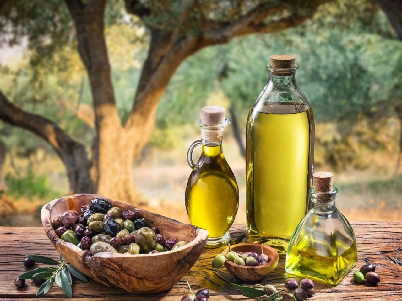 Invasione di olio straniero: Coldiretti lancia l’allarme frodi e concorrenza sleale